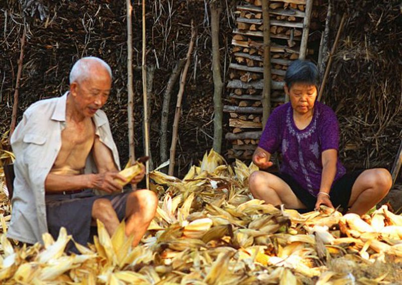 如何选择最佳的搬家服务？电话号码的重要性不容忽视